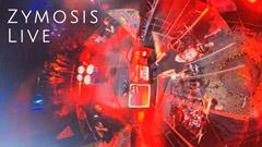 Zymosis Live at Chillary Festival 2021 Cover Thumbnail